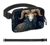 Riñonera de té árabe para hombres y mujeres, bolsa de cintura de senderismo, cinturón de bolsillo con correa ajustable para correr, caminar, viajar, Multicolor 14, 1.5x9.0x5.9in/4x23x15cm