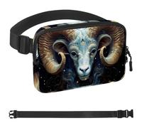 Riñonera de té árabe para hombres y mujeres, bolsa de cintura de senderismo, cinturón de bolsillo con correa ajustable para correr, caminar, viajar, Multicolor 18, 1.5x9.0x5.9in/4x23x15cm