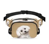 Riñonera multifunción con diseño de animales, para viajes, deportes, correr, lindo perro maltés, riñonera, bolsa de cinturón para mujeres, hombres, niñas y niños, color, XL, Organizador de bolsas