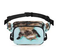 Riñonera multifunción con diseño de gato divertido para viajes, deportes, correr, riñonera para gatos, bolsa de cinturón para mujeres, hombres, niñas y niños, color, XL, Organizador de bolsas