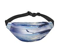 Riñonera, riñonera cruzada, riñonera para viajes, correr, para hombres y mujeres, pila de balones de fútbol, Hermoso avión Sky, Talla única, Mochila casual