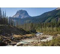 Río pequeño, bosques y montañas: Juego de Rompecabezas para Adultos de 5000 Piezas, Juego Casual de Bricolaje, Rompecabezas clásico, Juguete para aliviar el estrés para Adultos Mayores de 14 años.