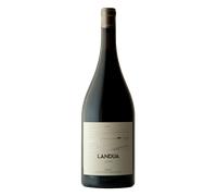 Rioja Aiurri Landua 2022 Magnum