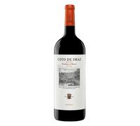 Rioja Coto de Imaz Reserva 2019 Magnum