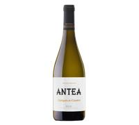 Rioja Marqués de Cáceres Antea 2025