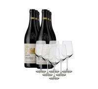 Rioja Pack Viña Pomal Reserva 2019 (x6) con 6 Copas