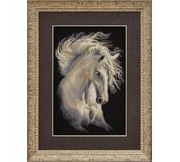 RIOLIS 1451 Carácter Andaluz Kit de punto de cruz contado 30 x 45 cm | Caballos diseño, 14 ct negro Zweigart Aida, 23 algodón Anchor colores, nivel intermedio, gráfico y aguja incluidos