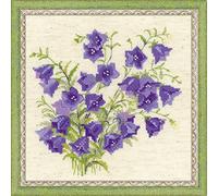 Riolis - 1557 bellf Lower Cross Stitch Kit, algodón, Multi de Color, 20 x 0, 1 cm
