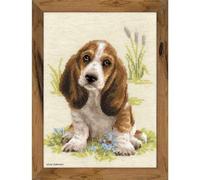 Riolis - 1578 Basset Hound Puppy Cross Stitch Kit, algodón, Multi de Color, 26 x 38 x 0, 1 cm