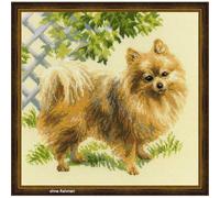 Riolis - 1585 Pomerania Cross Stitch Kit, algodón, Multi de Color, 25 x 0, 1 cm
