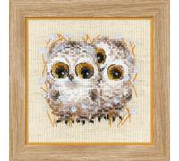 Riolis 1755 - Kit para punto de cruz (algodón, 1313 cm), diseño de búhos