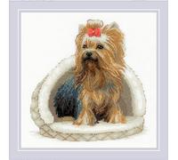 RIOLIS 2152 Yorkshire Terrier Kit de punto de cruz contado 24.8 x 24.8 cm | Perros diseño, 14 ct blanco Zweigart Aida, 20 lana/acrílico colores, nivel intermedio, gráfico y aguja incluidos