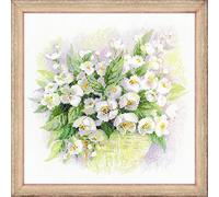 Riolis - Acuarela Jasmine - Juego de Punto de Cruz, kit11.75-Inch X 30 cm 14 CT, acrílico, Multicolor