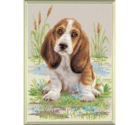Riolis - am0005 Basset Cachorro diamantes Pintura, acrílico, multicolor, 27 x 38 cm