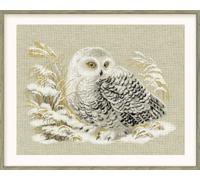 Riolis Chouette Harfang, Multicolor