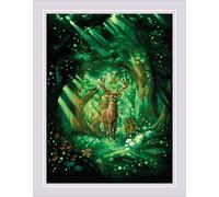 Riolis Counted Cross Stitch Kit 11.75"X15.75"-Forest Spirit (14 Count)
