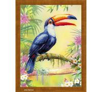 Riolis Der Tukan Kit de Punto de Cruz, algodón, Multicolor, 30 x 40 x 0.1 cm