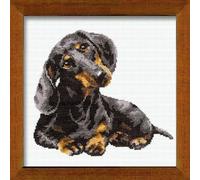 Riolis - Juego de Punto de Cruz, diseño de Perro Salchicha, Multicolor
