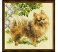 Riolis Kit de punto de cruz de 9.75 x 9.75 pulgadas, Pomerania (14 unidades), lana, multicolor