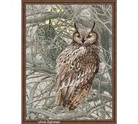 Riolis - Kit de Punto de Cruz, diseño de búho, 100% algodón, Multicolor