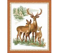 Riolis R1370 - Kit de Punto de Cruz contado