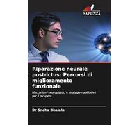 Riparazione neurale post-ictus: Percorsi di miglioramento funzionale: Meccanismi neuroplastici e strategie riabilitative per il recupero
