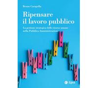 Ripensare il lavoro pubblico. La gestione strategica delle risorse umane nella Pubblica Amministrazione (Reference)