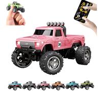 RipRush Mini Monster 1:64 Off-Road LED Alloy Racer, 2025 New 3-Speed Variable Speed Off-Road Vehicle with LED and Remote Control, Unleash Adventure, Build Skills (Pink,#A)