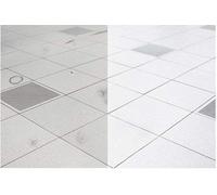 RISE Access Floor Cleaner | Estándar de la industria para la limpieza de suelos de computadoras | RISE ha sido probado y aprobado por los principales fabricantes de laminado de alta presión y utilizado por más de 3 décadas | 1 galón