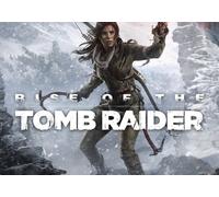 Rise of the Tomb Raider (PC) Steam Key - EU
