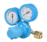 Risegun Regulador De Oxígeno, Reductor De Presión De Oxígeno, Regulador De Cilindro De Gas De Doble Calibre, Reductor De Presión De Soldadura De Oxígeno