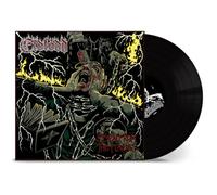Risen from the Flames [Vinilo]