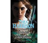 Rising Darkness (ebook)