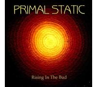 Rising in the Bud