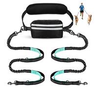 Risipu Correa de perro manos libres para 2 perros, cinturón ajustable con bolsa y soporte de cintura, costuras reflectantes elásticas absorbentes para correr, caminar, trotar (azul cielo)