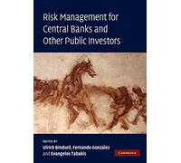 Risk Management for Central Banks and Other Public Investors Paperback