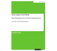 Risk Management in Global Organizations: Examples and Evaluating Figures
