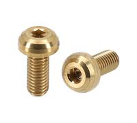 RISK - Tornillos M5 x 12 mm compatibles con la mayoría de modelos de jaula de botella de agua para montaje seguro del marco en bicicletas de carretera y todoterreno (dorado)