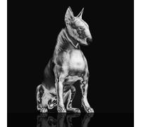 Riskee & The Ridicule – Platinum Statue – Vinilo (Importación USA) – Broken Silence