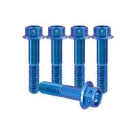 RISON-Titanium 5 tornillos de titanio M10 x 1,25 x 45 mm, tornillos de brida de titanio, tornillos hexagonales, tornillos de titanio, pernos perforados, tornillos de pinza de freno, tornillos de
