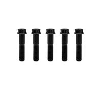RISON-Titanium Pernos de Titanio M10x1.25x35mm, 5 Piezas Tornillo de Cabeza Torx de Brida en Aleación de Titanio GR5, Pernos Roscados con Reborde, Accesorios de Modificación para Motocicleta, Bici