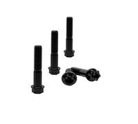 RISON-Titanium Pernos de Titanio M10x1.25x40mm, 5 Piezas Tornillo de Cabeza Torx de Brida en Aleación de Titanio GR5, Pernos Roscados con Reborde, Accesorios de Modificación para Motocicleta, Bici