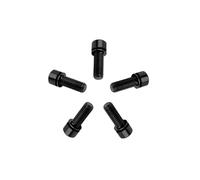 RISON-Titanium Pernos de Vástago de Bicicleta en Titanio M6x16mm, 5 Piezas Tornillos de Varilla de Bicicleta Pernos de Fijación para Potencia Bici, Soporte de Botella de Agua Bici MTB