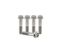 RISON-Titanium Tornillos de Brida de Titanio M8x1.25x25mm, 5 Piezas Tornillos de Cabeza Hexagonal con Reborde, Tornillos de Máquina Cabeza Allen, Accesorios de Modificación para Motocicleta, Bici