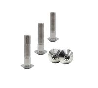 RISON-Titanium Tornillos de Titanio para Bicicleta Motocicleta M5x0.8x25mm, Pernos de Cabeza Allen Semirredonda, Tornillo de Cabeza de Paraguas Tornillos Hexagonales Cabezal de Cúpula, Paquete de 5