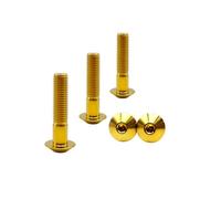 RISON-Titanium Tornillos de Titanio para Bicicleta Motocicleta M6x1.0x30mm, Pernos de Cabeza Allen Semirredonda, Tornillo de Cabeza de Paraguas Tornillos Hexagonales Cabezal de Cúpula, Paquete de 5