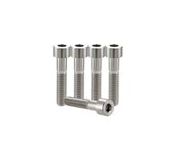 RISON - Tornillos de titanio M5 x 0,8 x 28 mm, tornillos de cabeza de casquillo de titanio plateado, tornillos de titanio hexagonales, paquete de 5