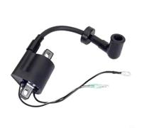 Risveglio Bobina de encendido con tapa para motor fueraborda de 2-5 HP, sustituye a 6E0-85570-00, compatible con Parsun para piezas de motor marino Powertec
