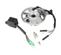Risveglio Bobina de scooter para estator magnético, compatible con motor todoterreno D8EA DR8EA D7EA D8TC DPR8EA-9, 125cc-250cc