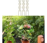 Risveglio Marco de escalada de plantas de ADN en espiral, paquete de 3 unidades, estacas de soporte de hierro, plantas en maceta, decoración para interiores y exteriores, enrejado, vides, hiedra